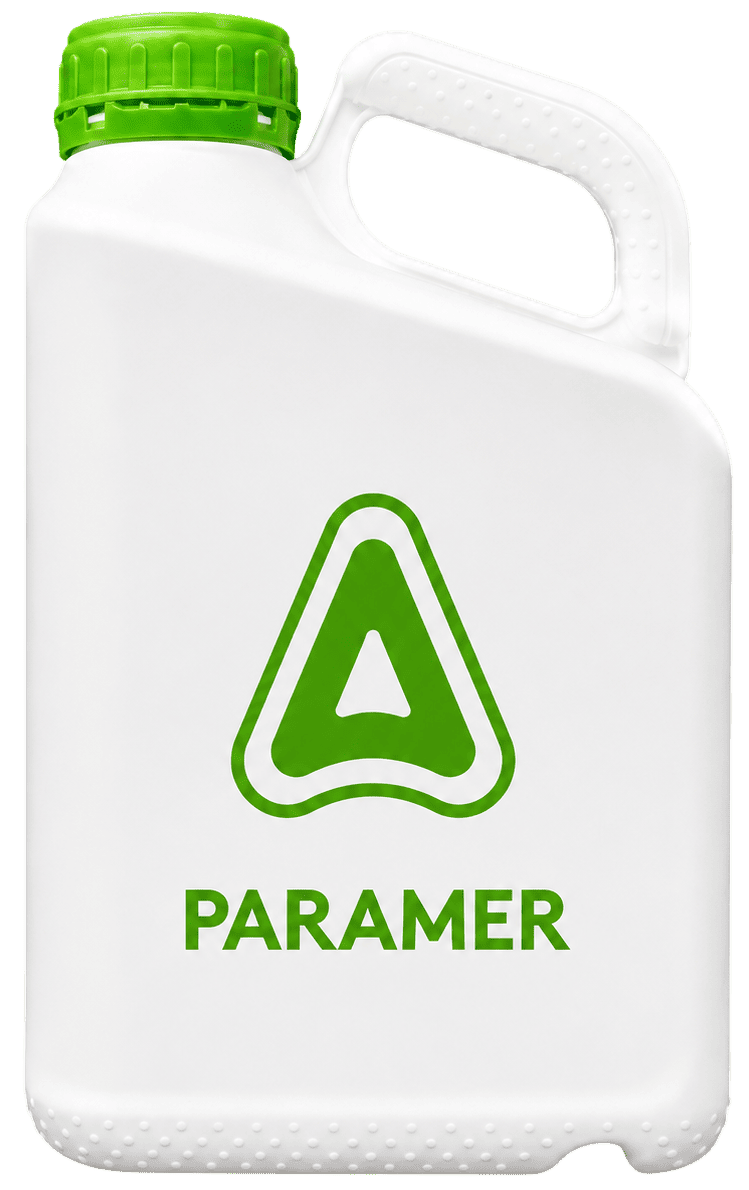 PARAMER